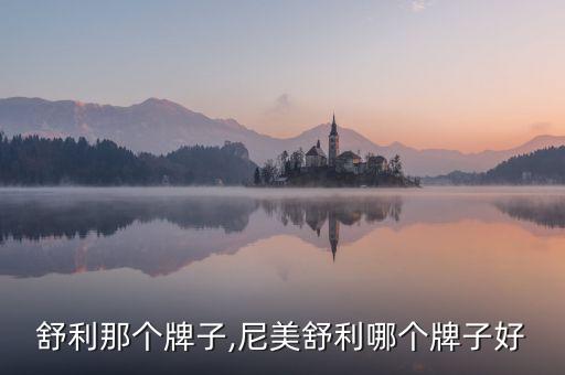 舒利那个牌子,尼美舒利哪个牌子好