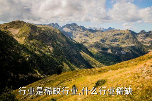 哪些行业是稀缺行业,什么行业稀缺?