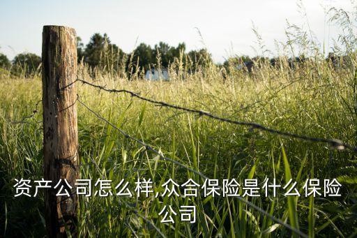 合众资产公司怎么样,众合保险是什么保险公司?
