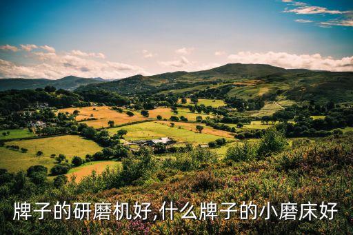 牌子的研磨机好,什么牌子的小磨床好