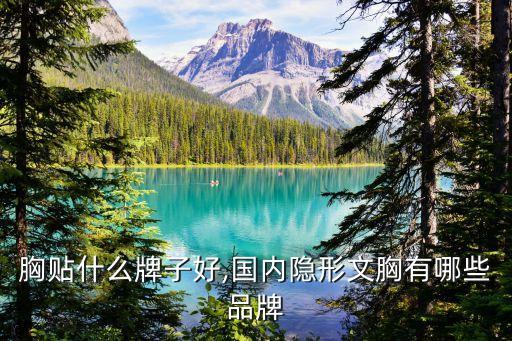 胸贴什么牌子好,国内隐形文胸有哪些品牌