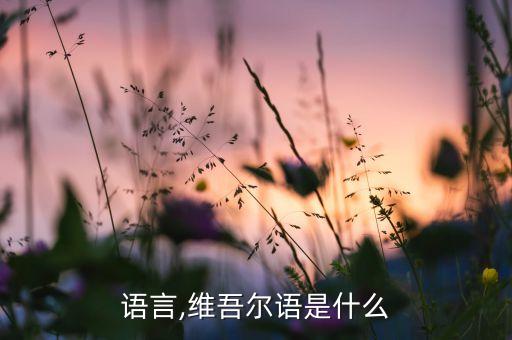 新疆语言,维吾尔语是什么?