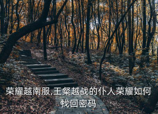 荣耀越南服,王粲越战的仆人荣耀如何找回密码