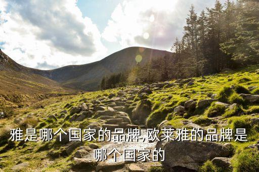 雅是哪个国家的品牌,欧莱雅的品牌是哪个国家的