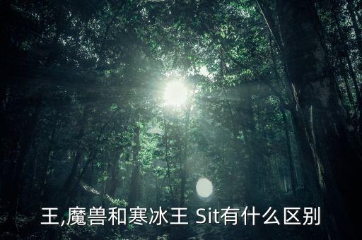 寒冰王,魔兽和寒冰王 Sit有什么区别?