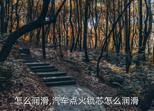 锁芯怎么润滑,汽车点火锁芯怎么润滑