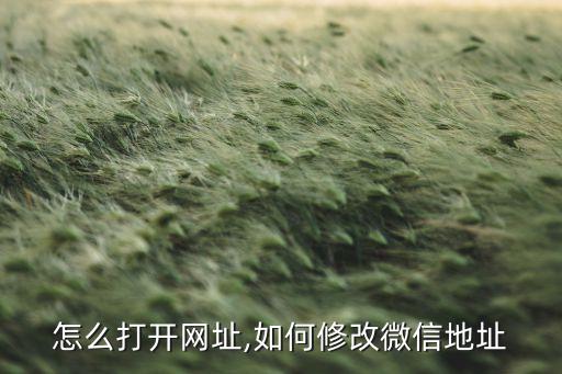 怎么打开网址,如何修改微信地址