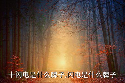 十闪电是什么牌子,闪电是什么牌子