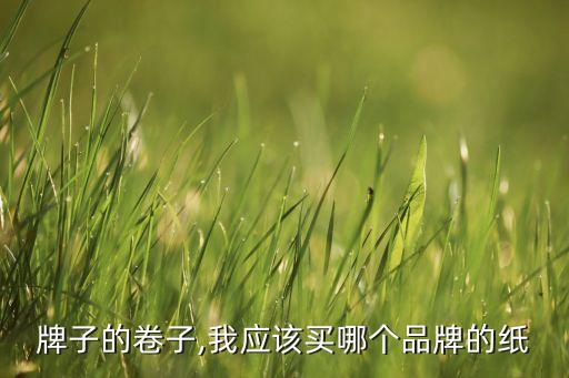 哪个牌子的卷子,我应该买哪个品牌的纸?