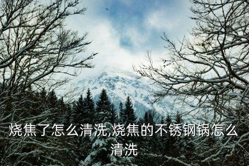 烧焦了怎么清洗,烧焦的不锈钢锅怎么清洗