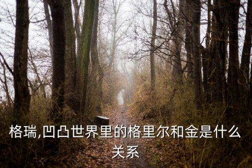 格瑞,凹凸世界里的格里尔和金是什么关系