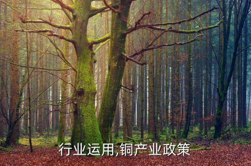 行业运用,铜产业政策