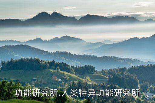 功能研究所,人类特异功能研究所