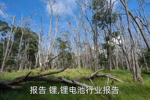 报告 锂,锂电池行业报告