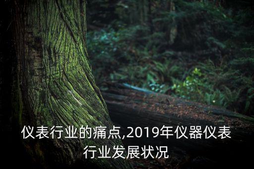 仪表行业的痛点,2019年仪器仪表行业发展状况