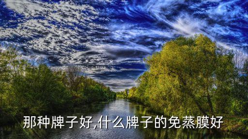 发膜那种牌子好,什么牌子的免蒸膜好?