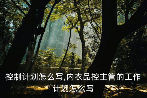质量控制计划怎么写,内衣品控主管的工作计划怎么写?