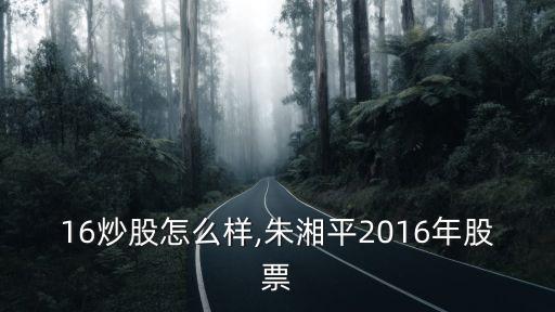 2016炒股怎么样,朱湘平2016年股票