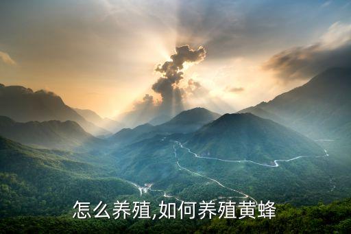 蚂蜂怎么养殖,如何养殖黄蜂
