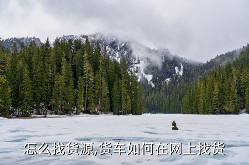 怎么找货源,货车如何在网上找货