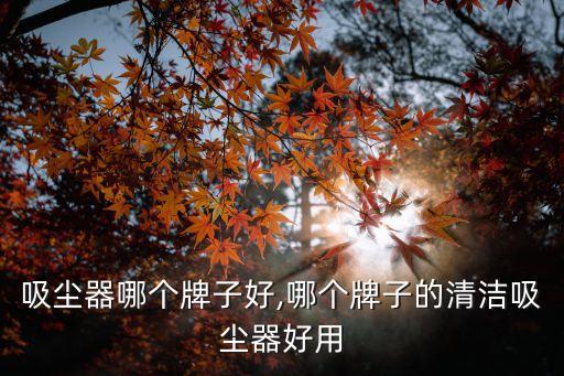 吸尘器哪个牌子好,哪个牌子的清洁吸尘器好用