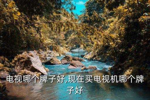 电视哪个牌子好,现在买电视机哪个牌子好
