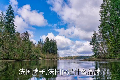 法国牌子,法国jv是什么品牌