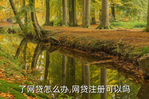 注册了网贷怎么办,网贷注册可以吗?