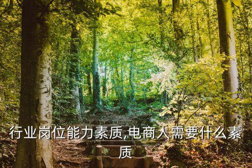 行业岗位能力素质,电商人需要什么素质