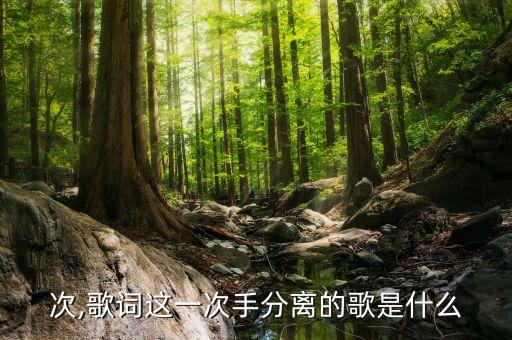 这一次,歌词这一次手分离的歌是什么?