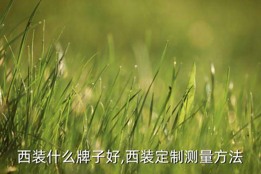 定制西装什么牌子好,西装定制测量方法