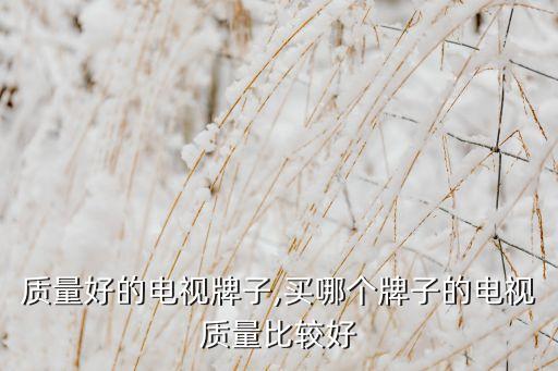 质量好的电视牌子,买哪个牌子的电视质量比较好