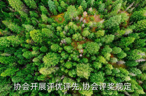 协会开展评优评先,协会评奖规定
