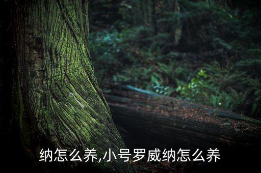 罗威纳怎么养,小号罗威纳怎么养