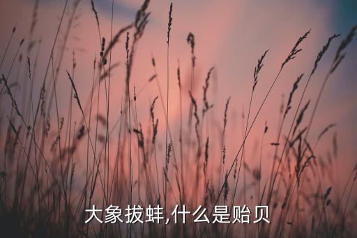 加拿大象拔蚌,什么是贻贝?