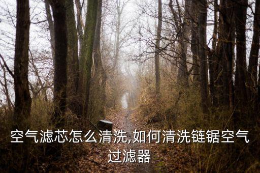 空气滤芯怎么清洗,如何清洗链锯空气过滤器