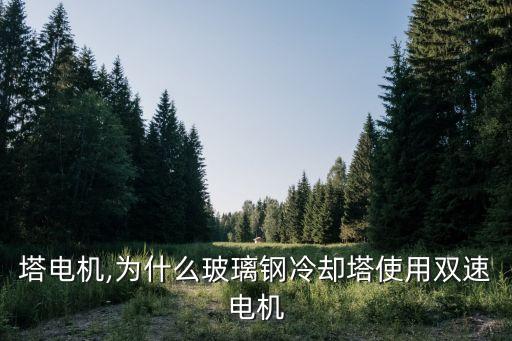 冷却塔电机,为什么玻璃钢冷却塔使用双速电机?
