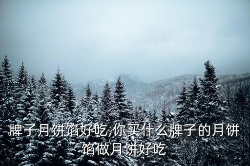 什么牌子月饼馅好吃,你买什么牌子的月饼馅做月饼好吃?