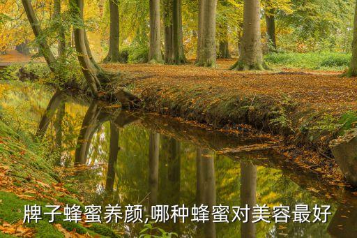 什么牌子蜂蜜养颜,哪种蜂蜜对美容最好?