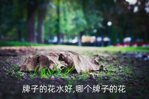 牌子的花水好,哪个牌子的花