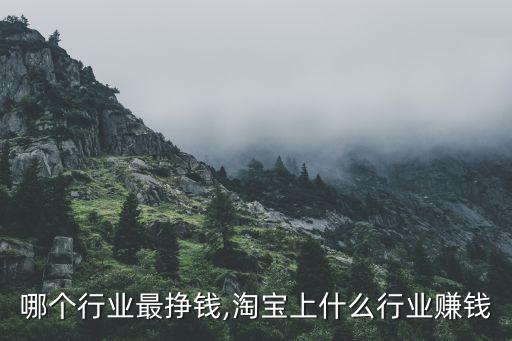哪个行业最挣钱,淘宝上什么行业赚钱