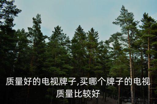 便宜质量好的电视牌子,买哪个牌子的电视质量比较好?