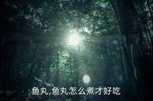红烧鱼丸,鱼丸怎么煮才好吃?