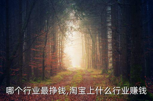 哪个行业最挣钱,淘宝上什么行业赚钱