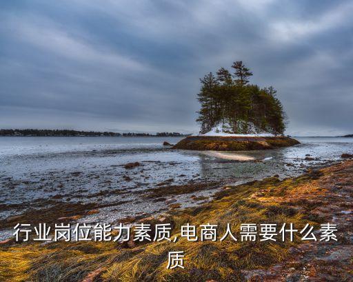 电商行业岗位能力素质,电商人需要什么素质?