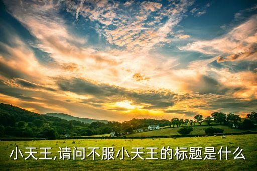 不服小天王,请问不服小天王的标题是什么?