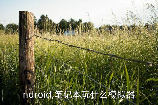 ndroid,笔记本玩什么模拟器