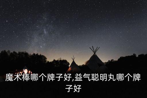 聪明魔术棒哪个牌子好,益气聪明丸哪个牌子好?