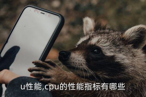 cpu性能,cpu的性能指标有哪些?