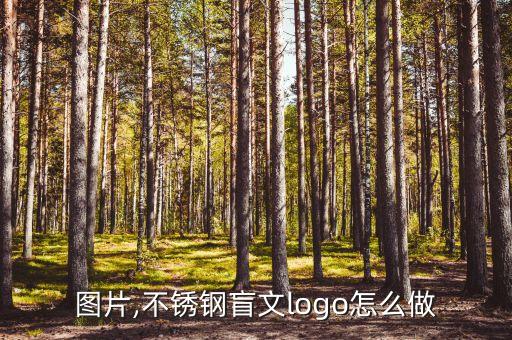 盲文图片,不锈钢盲文logo怎么做?
